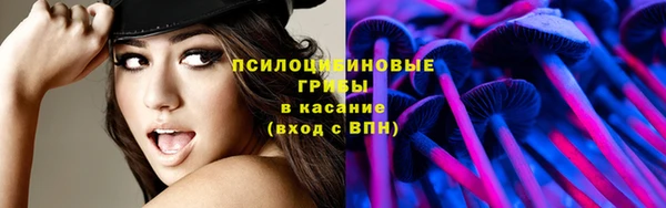 метамфетамин Алексеевка
