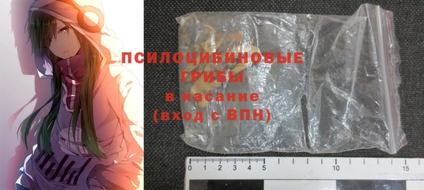 твердый Алексин