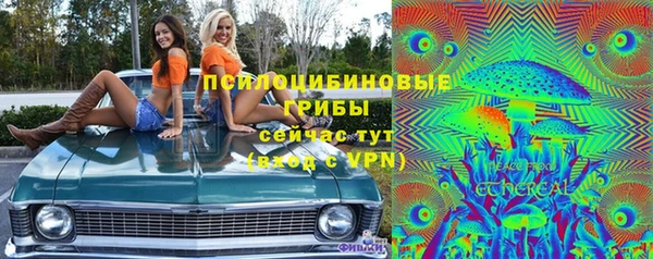 твердый Алексин