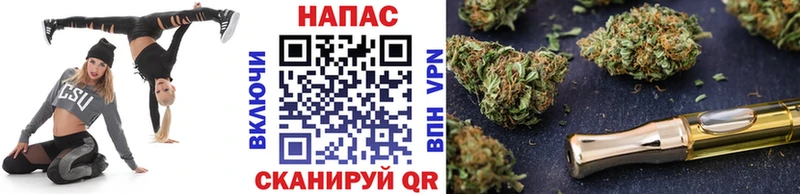 Шишки марихуана сатива  Снежногорск 